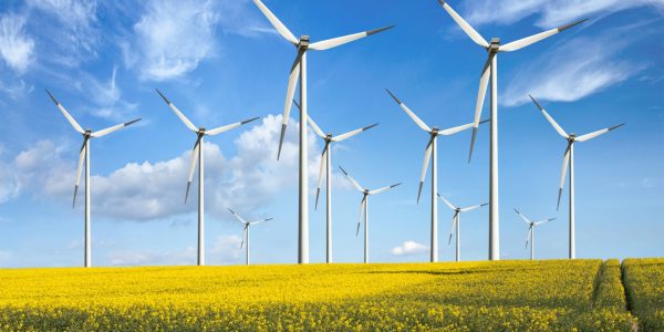 shutterstock_98069774